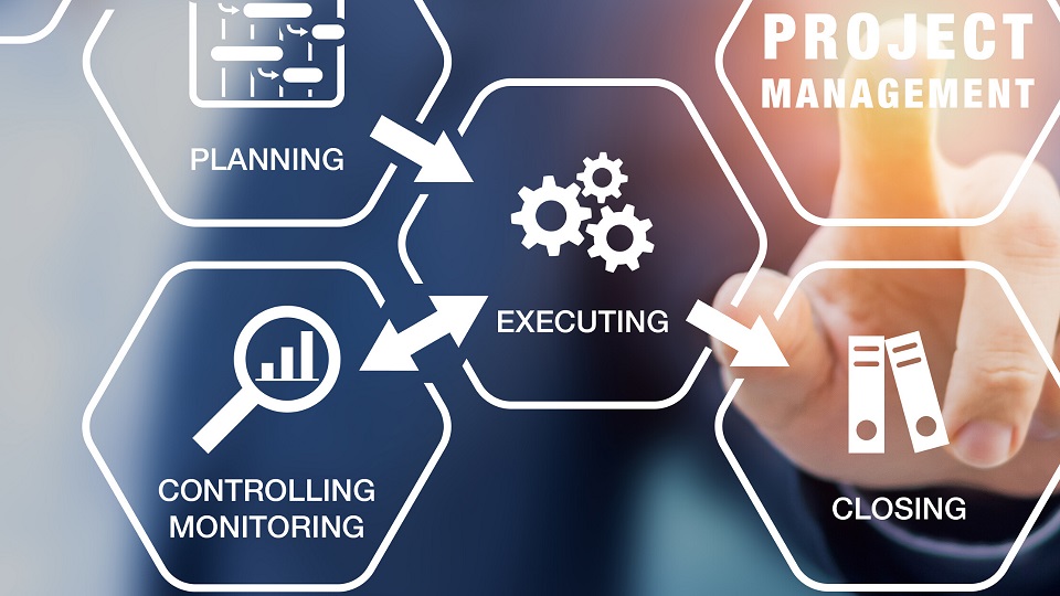 Business Mindset: Project Management Principles, Practices and Systems Image