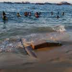 Global Environmental Management Image