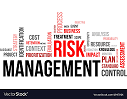 Risk Management Image